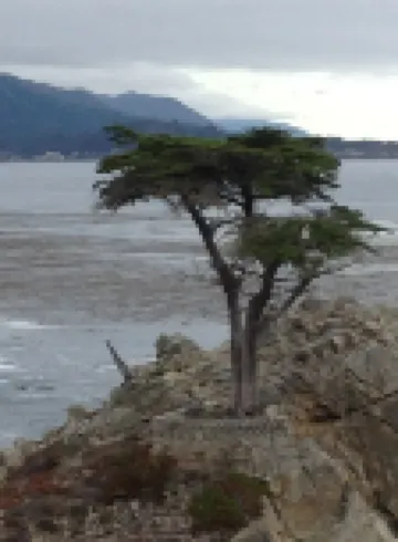 Carmel-By-The-Sea~~   Corner of Mission & 7th. ~~    2 Bedroom Luxury Apartment