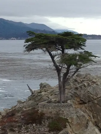 Carmel-By-The-Sea~~   Corner of Mission & 7th. ~~    2 Bedroom Luxury Apartment