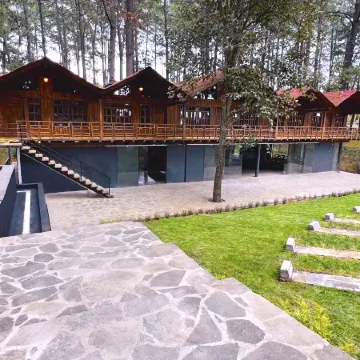 Pine Tree Mazamitla Hotel Boutique & Cabañas