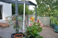 Charming Forest Escape for Two Hotels in Ilm-Kreis