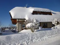 Lush Apartment in Furtwangen Near Black Forest with Balcony Hotels in der Nähe von Hexenlochmühle