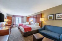 Comfort Suites Hôtels à : Wells Township