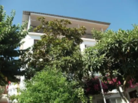 ヤリ パンシヨン