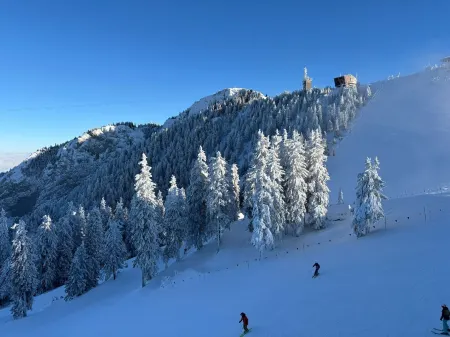 Sleep4-freep-mountainview-balcony-petfriendly Отели в г. Holbav