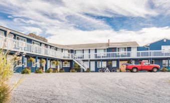 Haven Montauk
