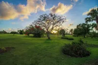 Luxury Villa Waterfall - Pool & BBQ -  Casas de vacaciones