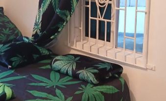 Beautiful 1-Bedroom in St Thomas Jamaica