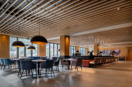 Swissôtel Damian Jasna Отели в г. Демановска-Долина