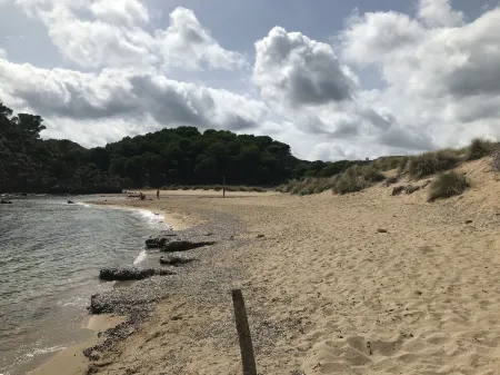 Hotel m - 27 Отели в г. Son Parc