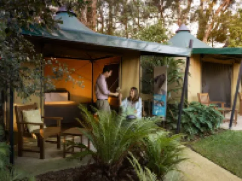 ロアー アンド スノア アット タロンガ ズー シドニー モスマンのホテル