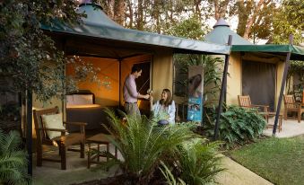 Roar and Snore at Taronga Zoo Sydney