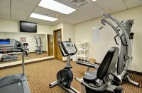 Comfort Inn & Suites Raphine - Lexington Near I-81 and I-64 - Gym