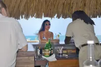 Parrot Cove Lodge - bar