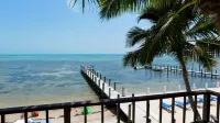 Pines & Palms Resort - Havudsigt