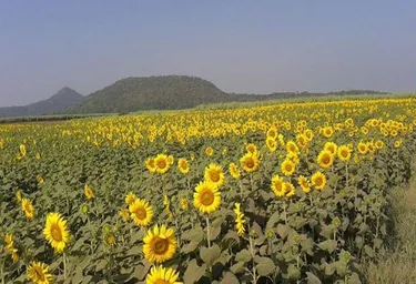 รูปภาพของดิ อินฟินิท รีสอร์ท