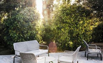 Du Côté des Olivades