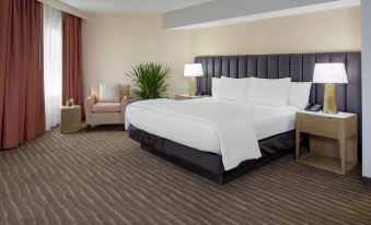 Embassy Suites by Hilton Phoenix Scottsdale