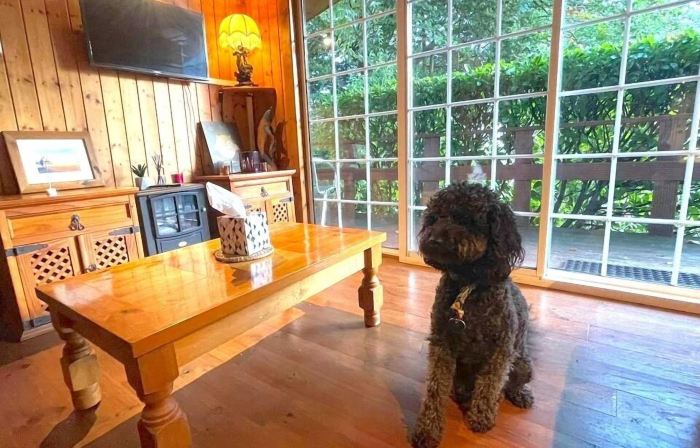 Robin Hill House Heritage B&B