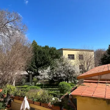 Hotel d'Orleans Hotels in der Nähe von Norman Palace