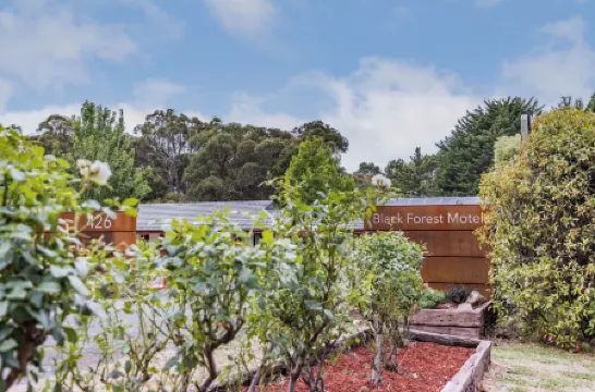 ブラック フォレスト モーテル