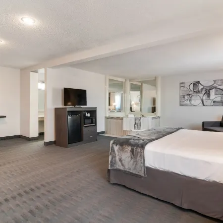 American Inn & Suites Romulus DTW