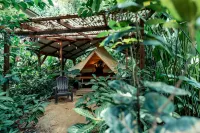 Palmar Beach Lodge Hotels in Bastimento