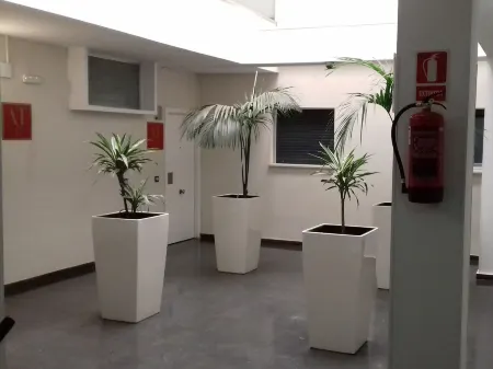 Apartamentos Turísticos Los Ángeles