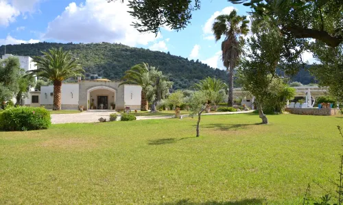 マッセリア フランニャレ