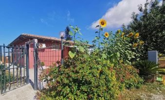 Bed and Breakfast "ANNA"