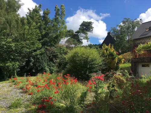 L'Angeviniere, Maison d'Hotes - Bed and Breakfasts