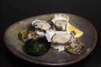 Huskisson Bayside Resort Hotels in Woollamia