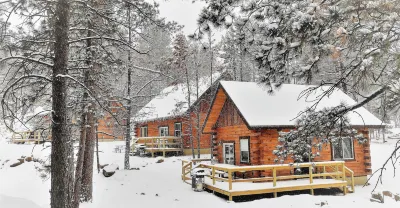 Freedom Ridge Cabins Hotels near Black Hills National Forest