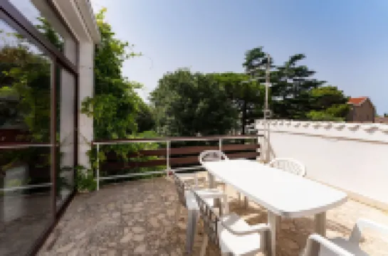 Fantastic Garden Zoey 6