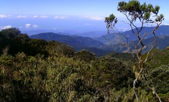 Dantica Cloud Forest Lodge