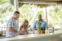 Reef Haven Belize - bar