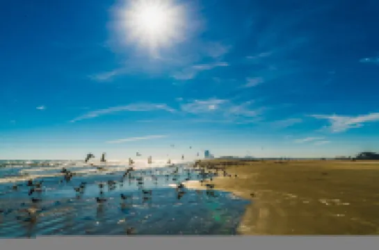 Blue Horizon in Galveston