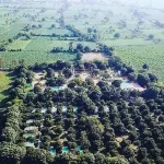 Camp Dilly - 2-Star