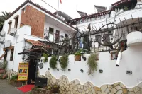 安茲賓館-潘西永 塞爾蘇斯圖書館附近的飯店