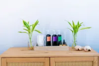 Mercure Rio Boutique Copacabana - Spa