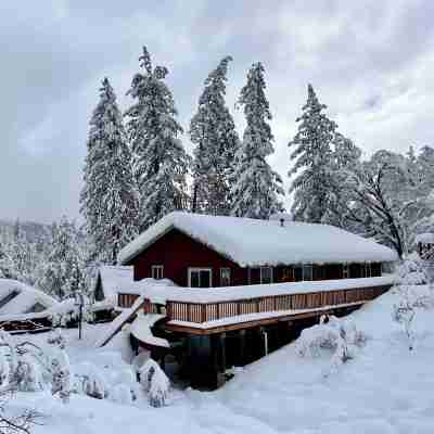 Charming home w/jacuzzi, hiking trails, games, near sandy beaches in Bass Lake! Hotel Exterior