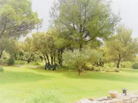 Cosy alpilles in the heart of Carrigue Hotels in Lagnes