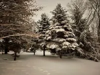Cottage in Historic Bucks County