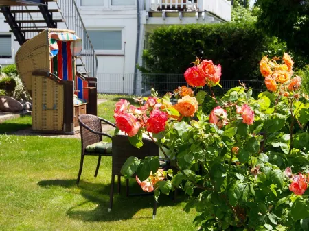 Wagtail with lake view