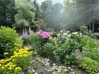 Chalet Romantique