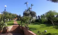 NIDU - Abode of Wellbeing