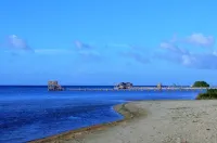 BEACHFRONT VILLA! Snorkel & explore the amazing reef! Experience Caribbean Life!