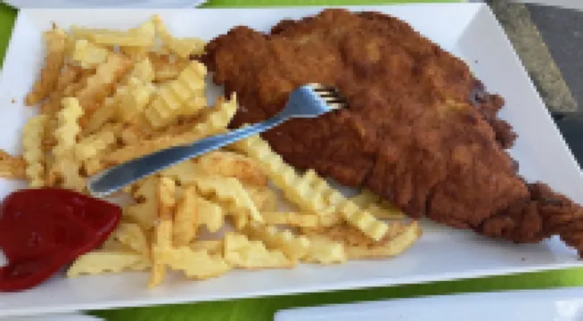 RURAL APARTMENT ASTURIAS