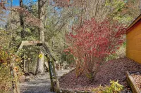 Hot Tub & Game Room: Blue Ridge Getaway - Wifi