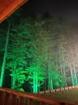 Hotel Pine Heritage Hotels in Patnitop