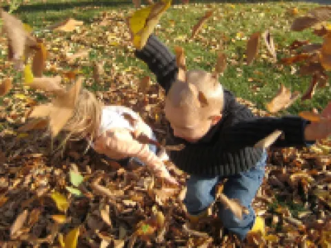 Phoenix House B&B Hoteles en Stettler